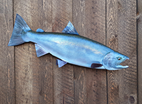 Reproduction Fish Mount