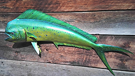Reproduction Fish Mount