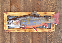 Reproduction Fish Mount