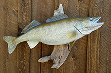 Reproduction Fish Mount