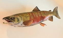 Reproduction Fish Mount