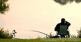Describe the photo or the page it links to